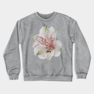 Alstroemeria - Digital Illustration of a Lily of the Incas Flower, floral Crewneck Sweatshirt